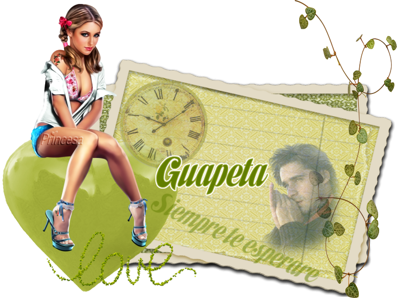  photo scrap 18 guapeta.png