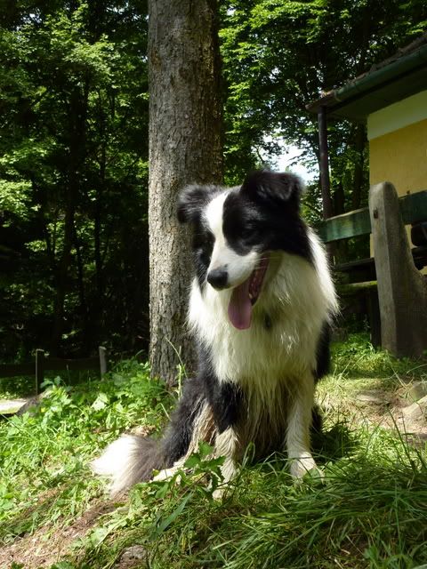 P1020985.jpg