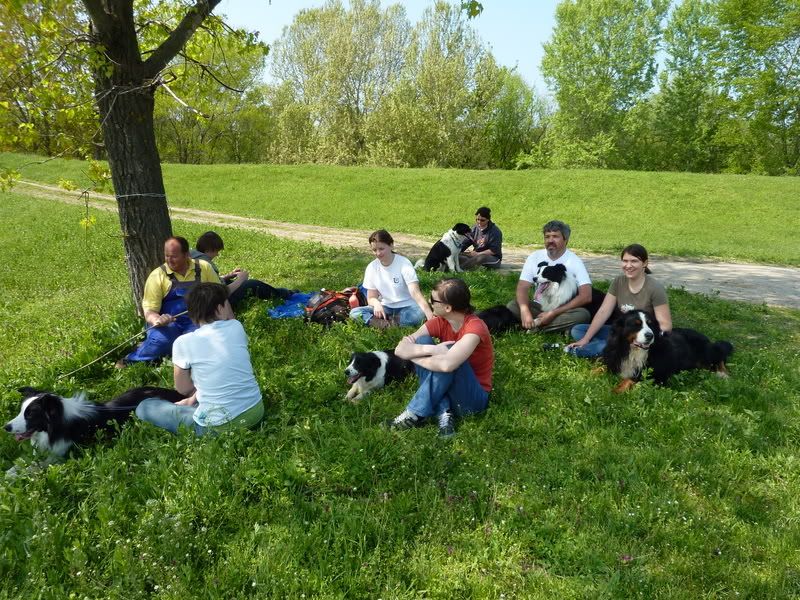 P1020044.jpg