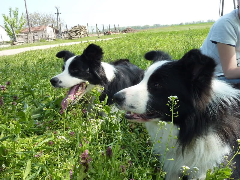 P1020049.jpg