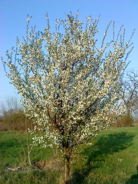 DSC00128.jpg