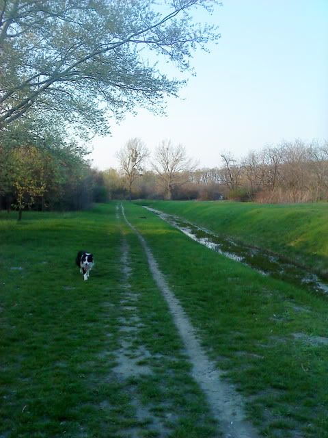 DSC00131.jpg