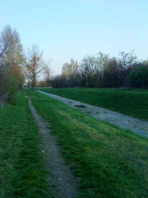 DSC00133.jpg