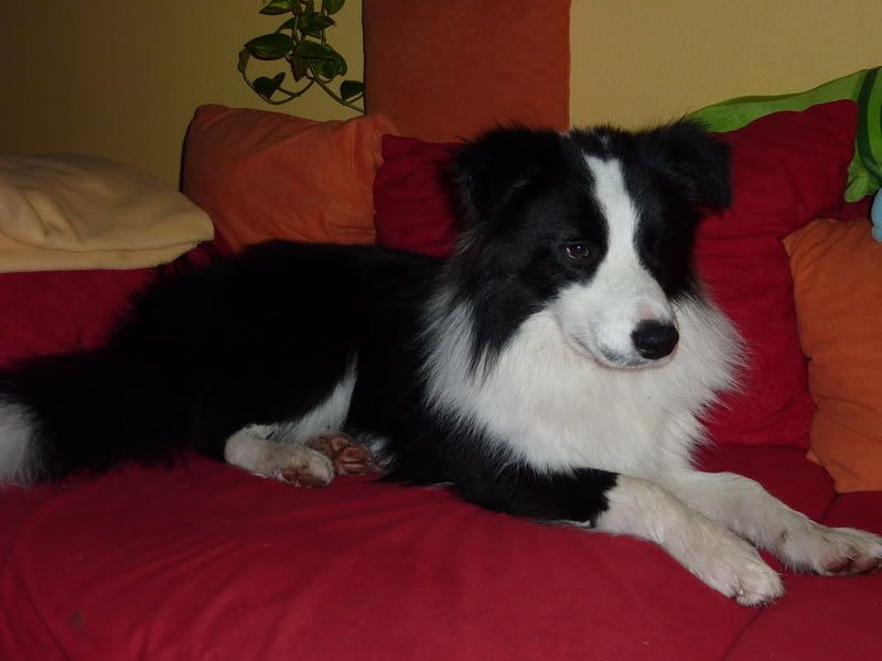 P1000383.jpg
