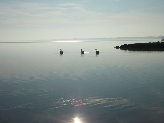 P1000505.jpg