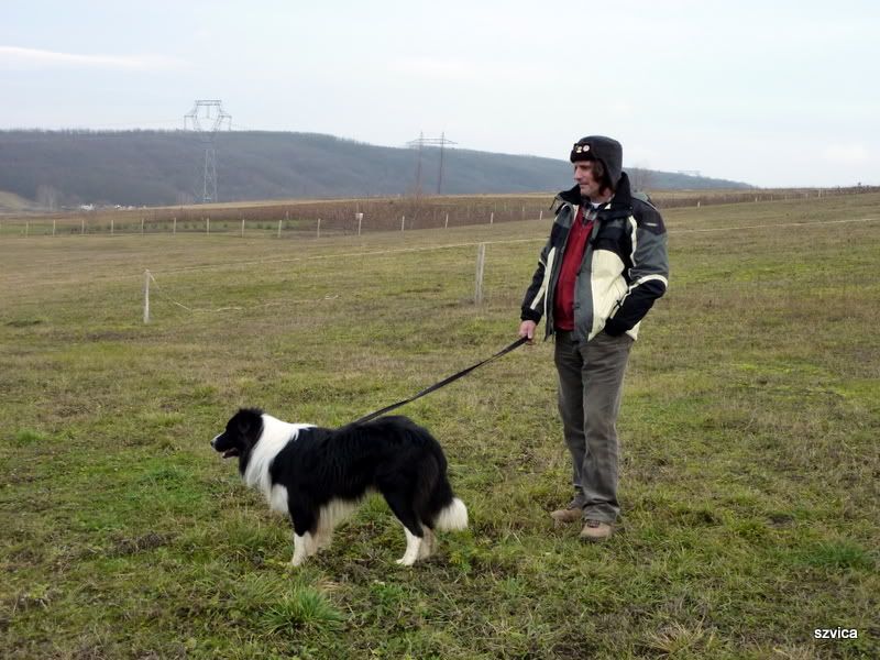 P1000678.jpg