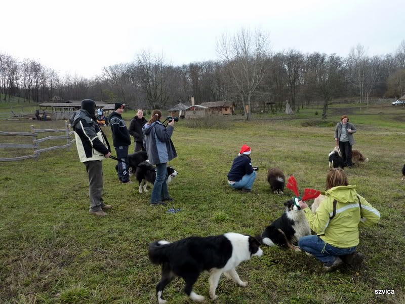 P1000685.jpg