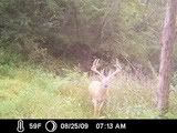 TrailCam09007.jpg