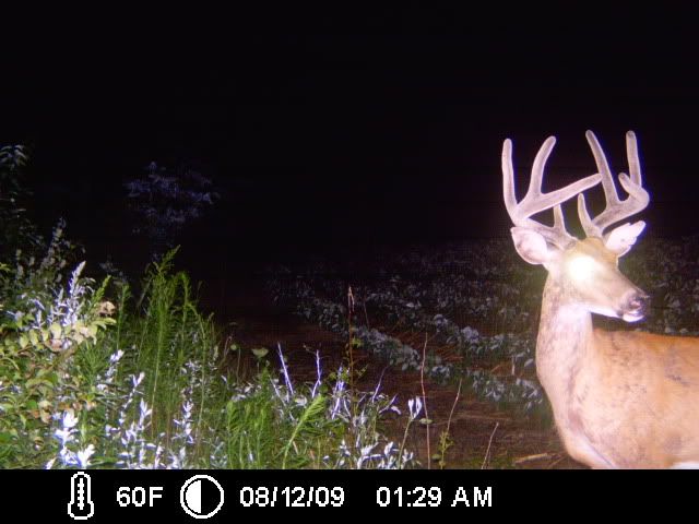 TrailCam09062.jpg