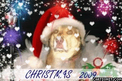 KANGAHEARTS.gif XMAS 2009 image by kangamickeyroo