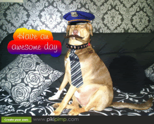 haveanawsomeday.gif HAVE AN AWESOME DAY image by kangamickeyroo