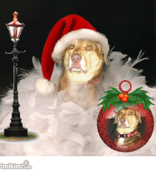 print1.gif xmas pooch image by kangamickeyroo