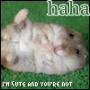  photo cute.gif