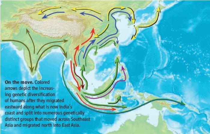 Peta Sebaran Gen di Asia Tenggara, diambil dari L. Jin et. al