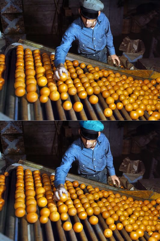 oranges.jpg