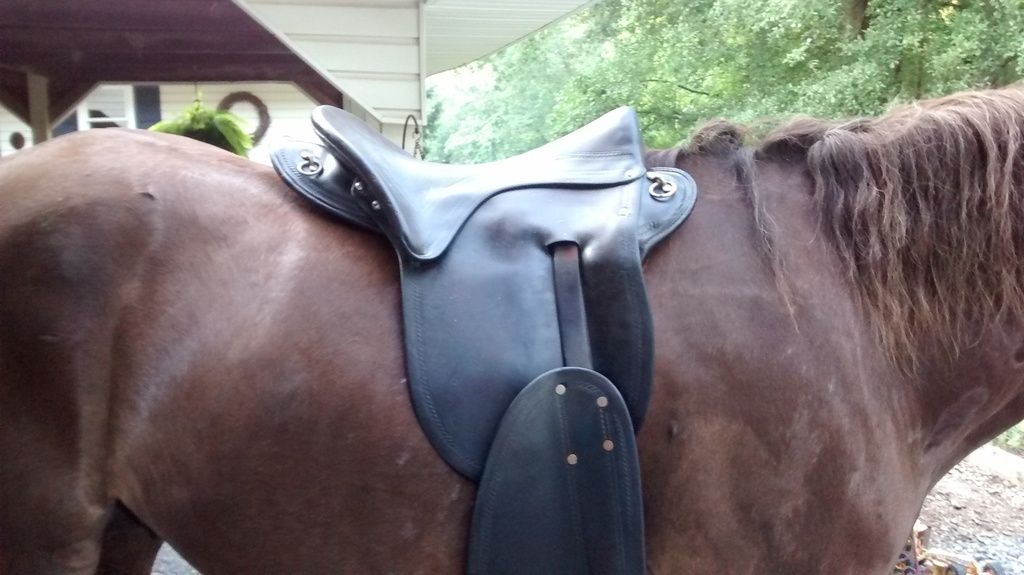 Two Different Saddles, Two Different Sweat Patterns Page 2 The