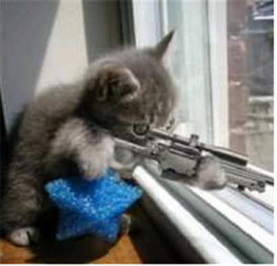 IMAGE(http://i557.photobucket.com/albums/ss16/udamaninaz/cat-with-gun.jpg)