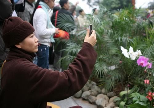 dalat,festival2010,thao_viet89,hoa