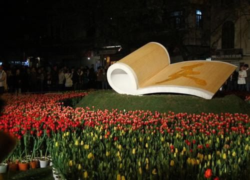 dalat,festival2010,thao_viet89,hoa