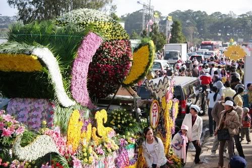 dalat,festival2010,thao_viet89,hoa