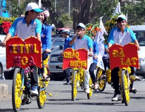 dalat,festival2010,thao_viet89,hoa