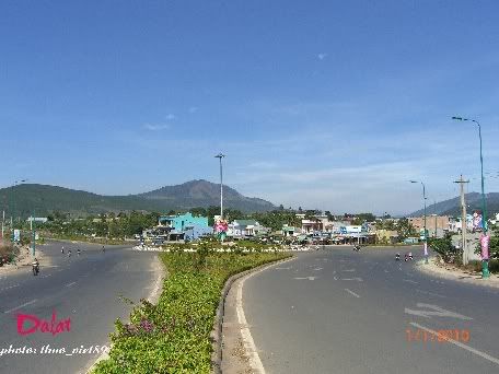 dalat,dalat,thao_viet89,thao_viet89,festival2010,festival2010