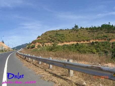 dalat,dalat,thao_viet89,thao_viet89,festival2010,festival2010