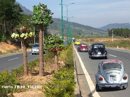dalat,dalat,thao_viet89,thao_viet89,festival2010,festival2010 dalat,dalat,thao_viet89,thao_viet89,festival2010,festival2010