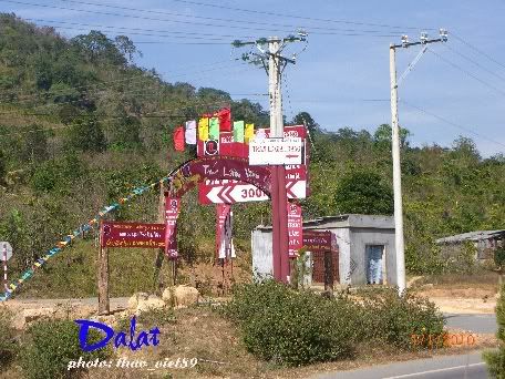 dalat,dalat,thao_viet89,thao_viet89,festival2010,festival2010