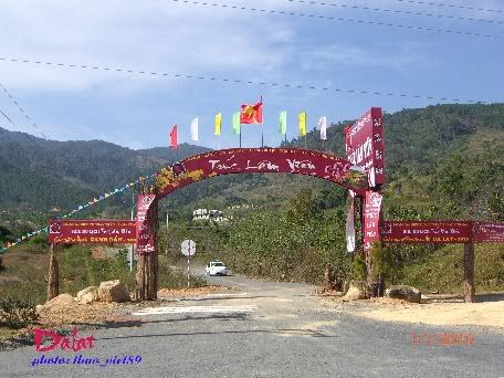 dalat,dalat,thao_viet89,thao_viet89,festival2010,festival2010