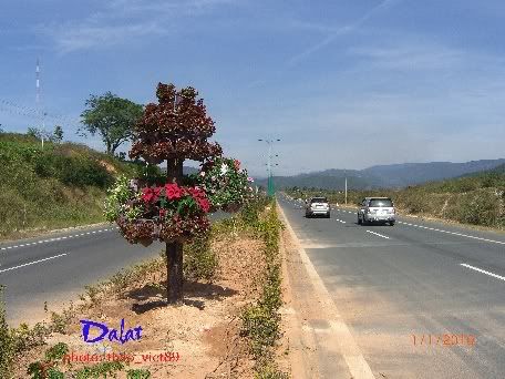 dalat,dalat,thao_viet89,thao_viet89,festival2010,festival2010
