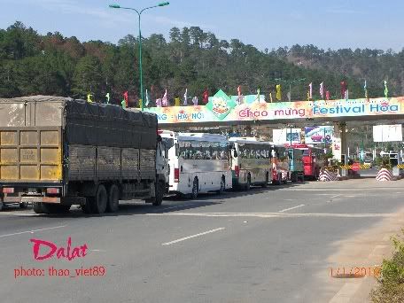 dalat,dalat,thao_viet89,thao_viet89,festival2010,festival2010