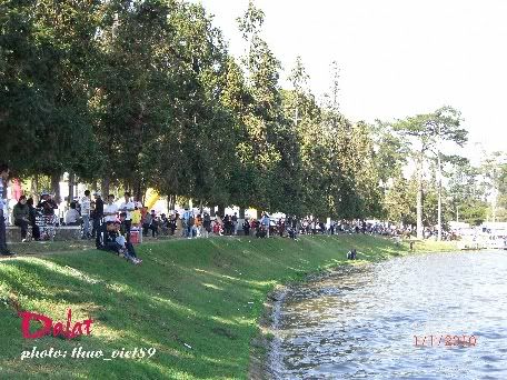 dalat,dalat,thao_viet89,thao_viet89,festival2010,festival2010