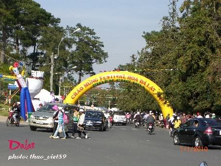 dalat,dalat,thao_viet89,thao_viet89,festival2010,festival2010