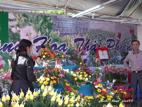 dalat,dalat,thao_viet89,thao_viet89,festival2010,festival2010