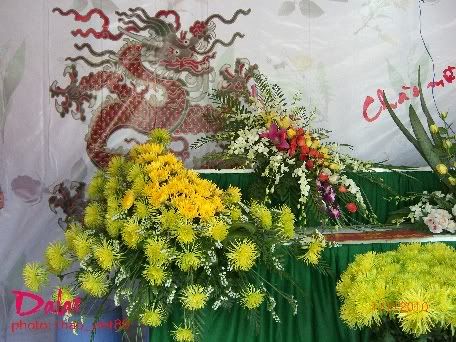 dalat,dalat,thao_viet89,thao_viet89,festival2010,festival2010