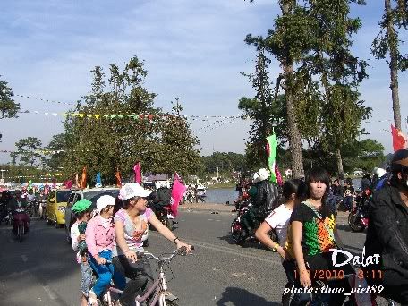 dalat,dalat,thao_viet89,thao_viet89,festival2010,festival2010