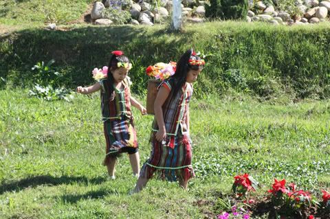 dalat,festival2010,thao_viet89,hoa