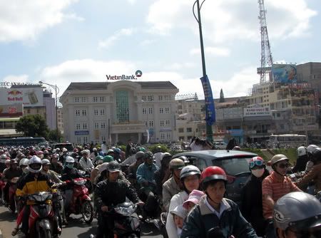 dalat,festival2010,thao_viet89,hoa