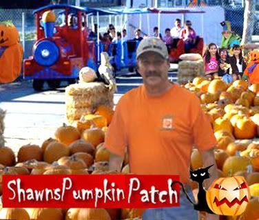 Pumpkin Patch Near Pasadena Ca