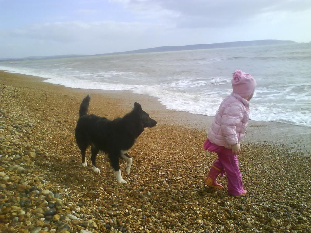 DSC01452.jpg fun on the beach image by truebluesal