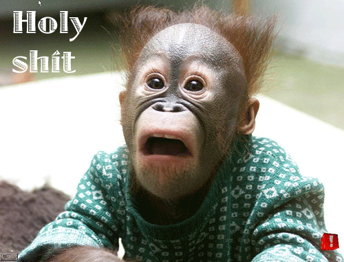 astounded orangutan photo: holy shit orangutan wtf-NO.png