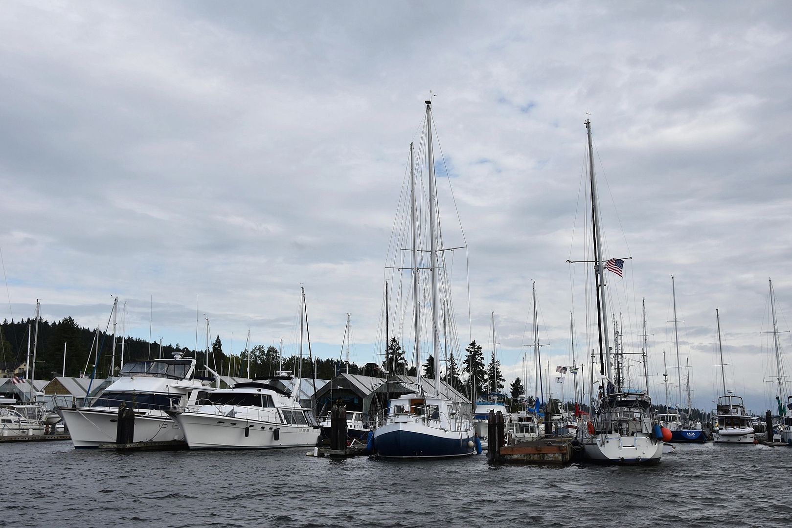 10 photo f0fa6998-0ffa-4a8c-b50d-b95318f461f5_zpsjt1sqwqk.jpg