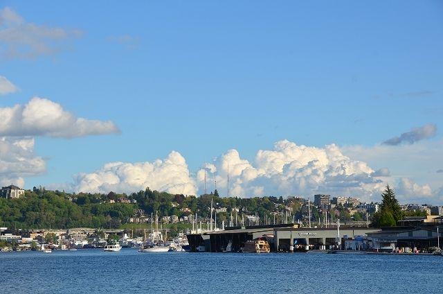 15 photo 71d95ca1-72fb-4b28-b37e-f3fdb0d6a6ca_zpspuwqglyv.jpg