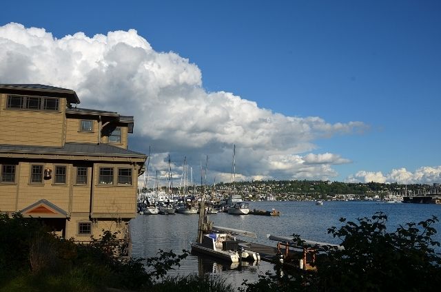 12 photo f9d27dd2-db5c-4d63-ab4d-b7613217e9a8_zpslolfrogf.jpg