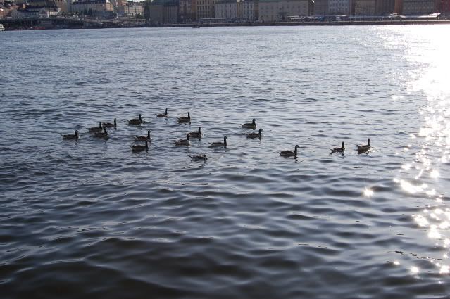 Stockholm
