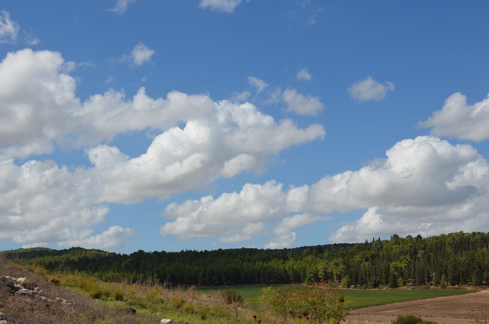 photo DSC_2684_zps7c4a6dc2.jpg