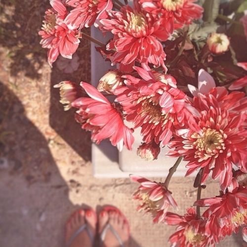 7 photo d5f2473b-a232-465c-946b-5bf7924f6d5d_zpst4wwbjzb.jpg